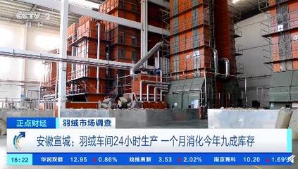 羽絨價(jià)格漲超六成 羽絨車間1個(gè)月消化今年九成庫存