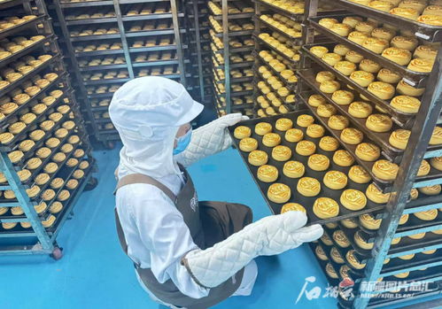 中秋佳節將至，烏魯木齊食品與羽絨制品企業雙線并進迎忙季